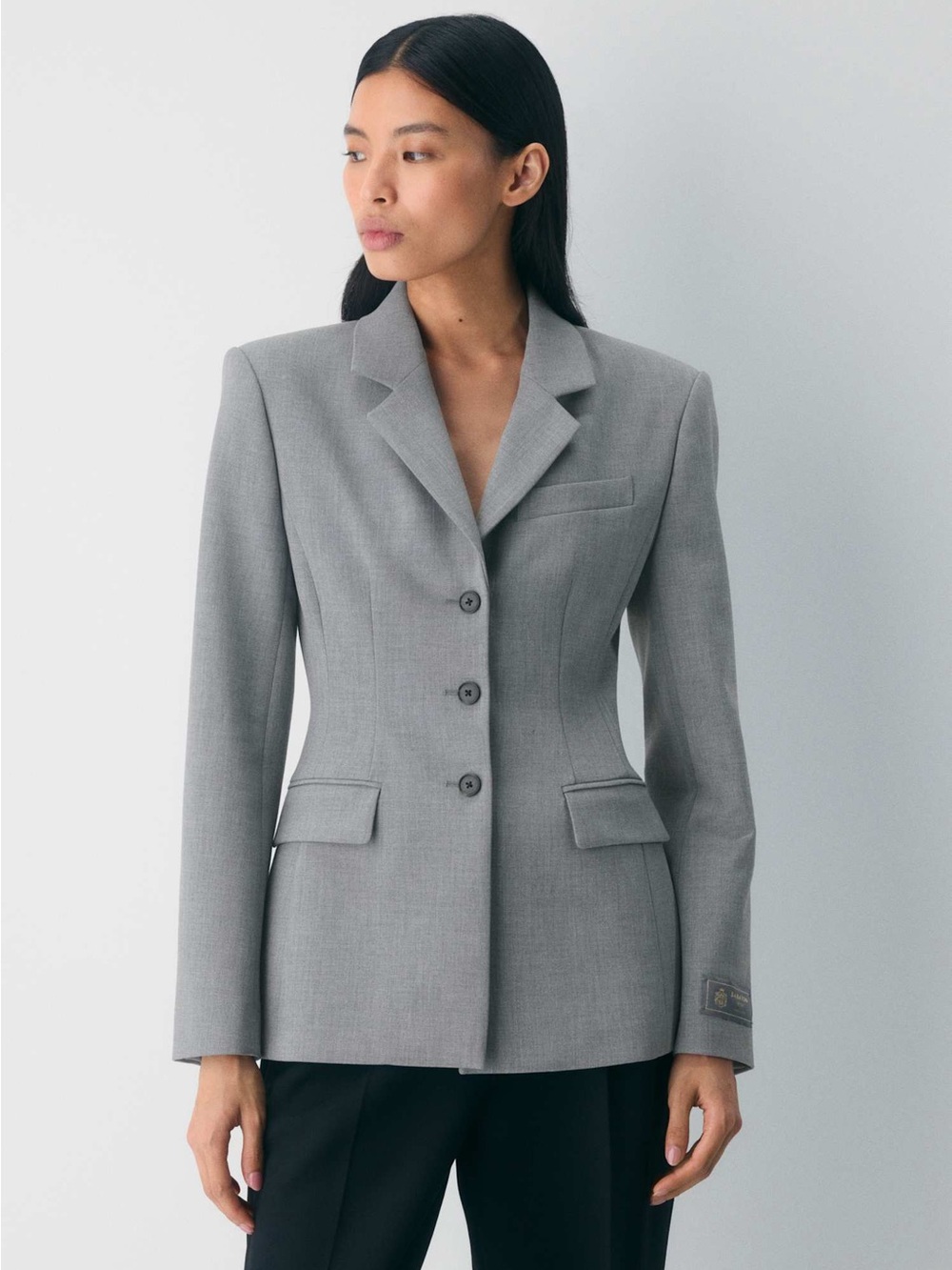 Aritzia Babaton Standout Blazer - Eversential Size 2 Single-Breasted Hourglass
